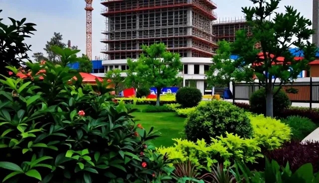 性能与适用条件:选型建议影响结果的原因